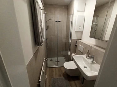 Logement entier à Römerstraße, image 8 de 33