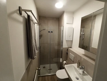 Logement entier à Römerstraße, image 10 de 33