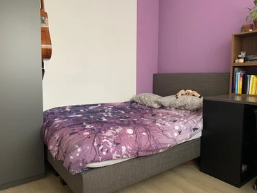 Günstiges Privatzimmer in Leiden