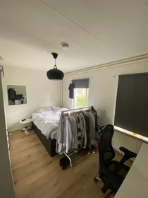 Bright private room in Eindhoven