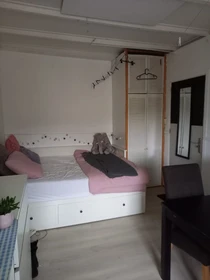 Renting rooms by the month in Groningen