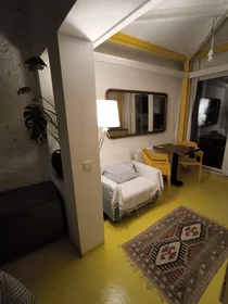 Apartamento inteiro em Işkırlak Sokak 10, imagem 13 de 19