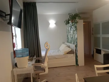 Logement entier à Via Pier Donato Sommati 58, image 4 de 14