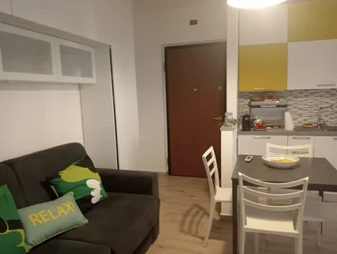 Logement entier à Via Pier Donato Sommati 58, image 6 de 14
