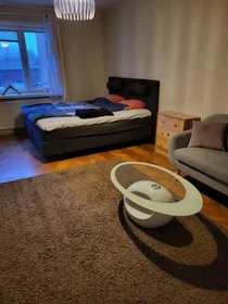 Logement situé dans le centre de Goteborg