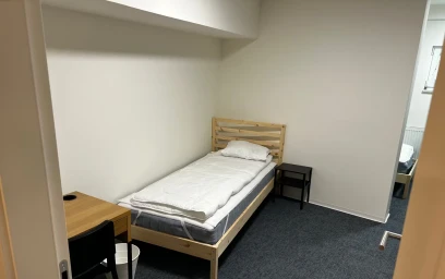 Chambre partagée à Gestrinova ulica, Poljane, image 1 de 10