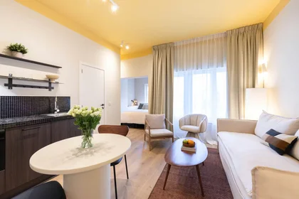 Logement entier à Rue Général Fivé, Etterbeek, image 3 de 10