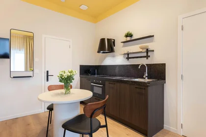 Logement entier à Rue Général Fivé, Etterbeek, image 5 de 10