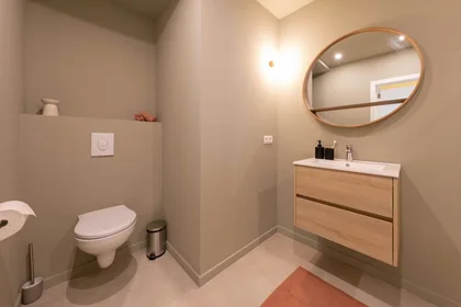 Logement entier à Rue Général Fivé, Etterbeek, image 10 de 10