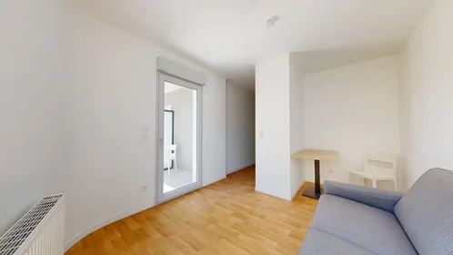 Entire apartment at Avenue du Drapeau, Maladière-Drapeau-Clemenceau, image 2 of 10