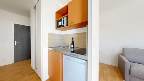 Entire apartment at Avenue du Drapeau, Maladière-Drapeau-Clemenceau, image 4 of 10