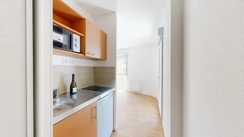 Entire apartment at Avenue du Drapeau, Maladière-Drapeau-Clemenceau, image 5 of 10
