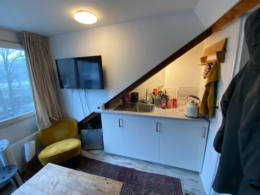 Alquiler de habitación en piso compartido en Nijmegen