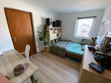 Room for rent in a shared flat in Enschede