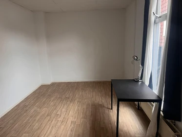 Renting rooms by the month in Groningen