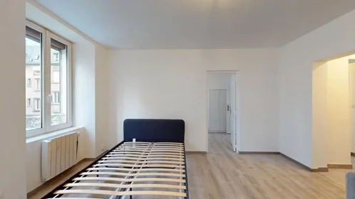 Gesamte Unterkunft in der Rue du Cerf, , bild 5 von 10