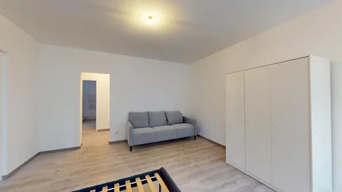 Gesamte Unterkunft in der Rue du Cerf, , bild 6 von 10