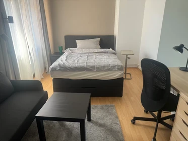 Pokój do wynajęcia z podwójnym łóżkiem w {area}