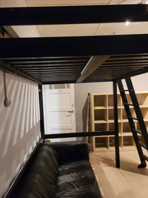 Room for rent in a shared flat in Groningen