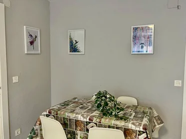 Stanza privata in Calle Maestro Javier Paulino Torres, immagine 15 di 31