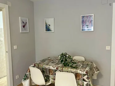 Stanza privata in Calle Maestro Javier Paulino Torres, immagine 16 di 31