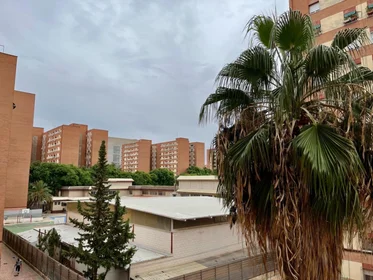 Stanza privata in Calle Maestro Javier Paulino Torres, immagine 31 di 31