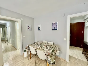 Stanza privata in Calle Maestro Javier Paulino Torres, immagine 17 di 31