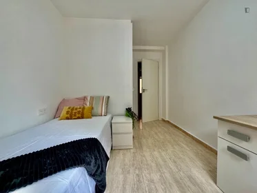 Stanza privata in Calle Maestro Javier Paulino Torres, immagine 5 di 31