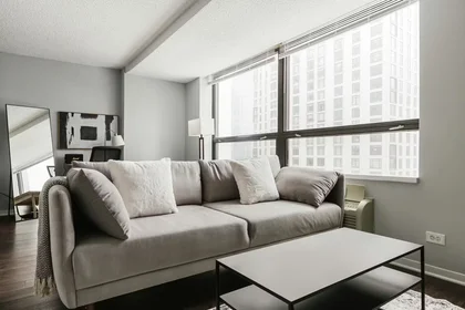 Evin tamamı konumu East Ohio Street, Streeterville, 1 10 görüntüsü