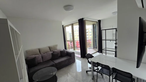 Entire fully furnished flat in Bratislava