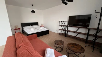 Two bedroom accommodation in Bratislava