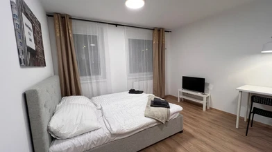 Accommodation with 3 bedrooms in Bratislava