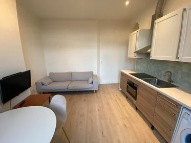 Entire apartment at Admiraal de Ruijterweg, Bos en Lommer, image 3 of 10