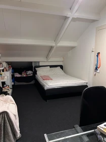 Renting rooms by the month in Groningen