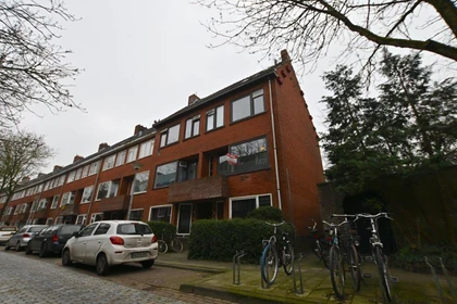 Alquiler de habitación en piso compartido en Groningen