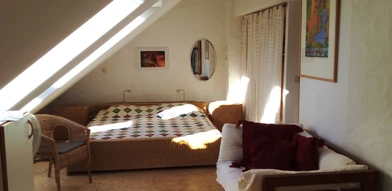 Bright private room in Bonn