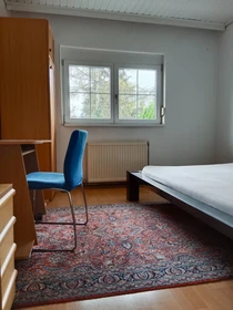 Stanza privata con letto matrimoniale Wien