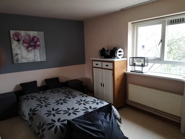 Room for rent with double bed Nijmegen