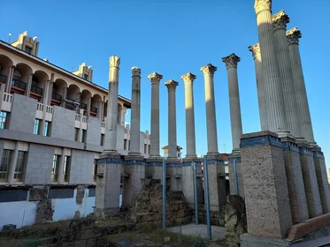 Appartamento intero in Calle del Obispo Fitero 7, immagine 31 di 41