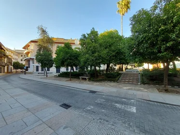Appartamento intero in Calle del Obispo Fitero 7, immagine 32 di 41