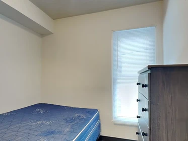 Cheap private room in Urbana-champaign