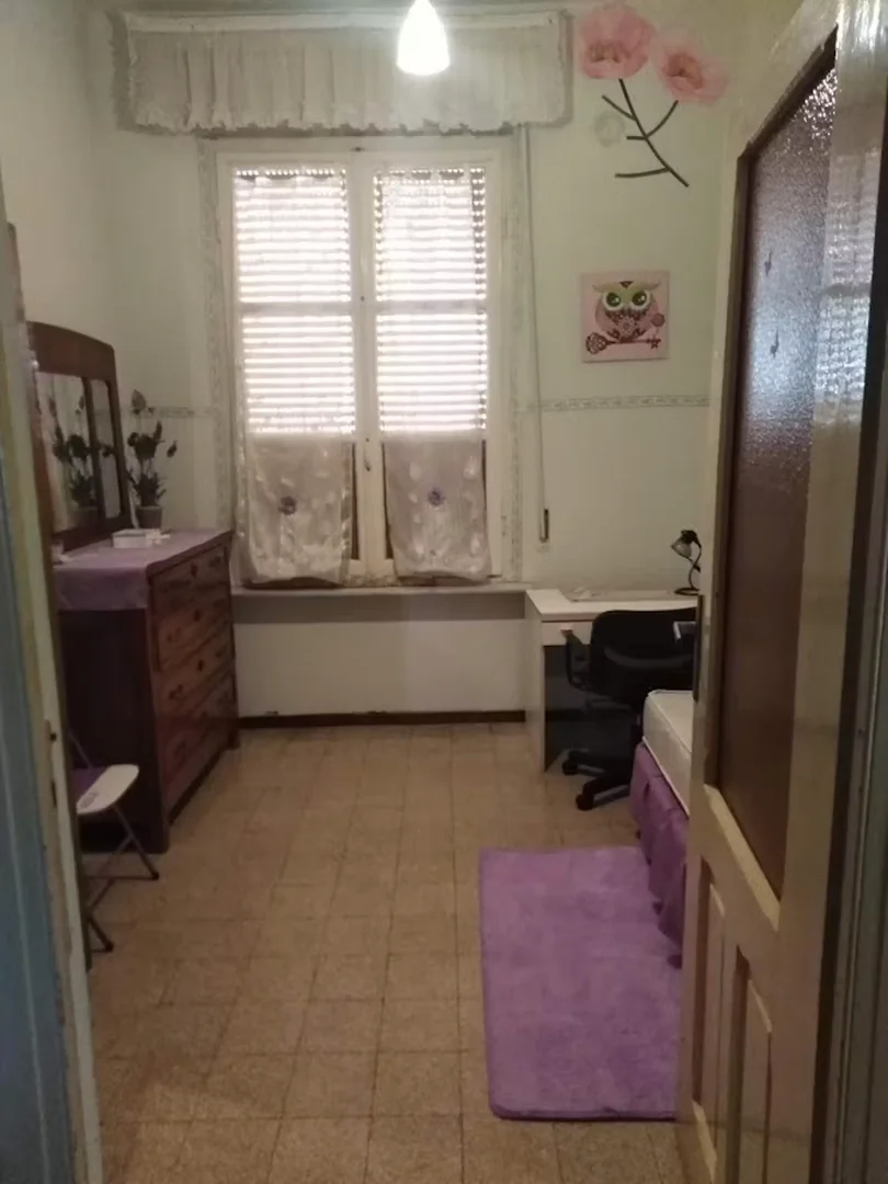 Budget-friendly student room close to campus in 