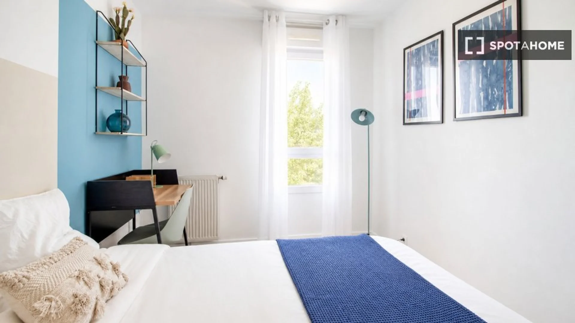 Affordable room for students with ample lighting in 