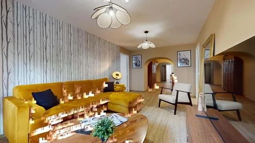 Özel oda konumu 5 Rue Alsace Lorraine, 69001 Lyon, France, 14 21 görüntüsü