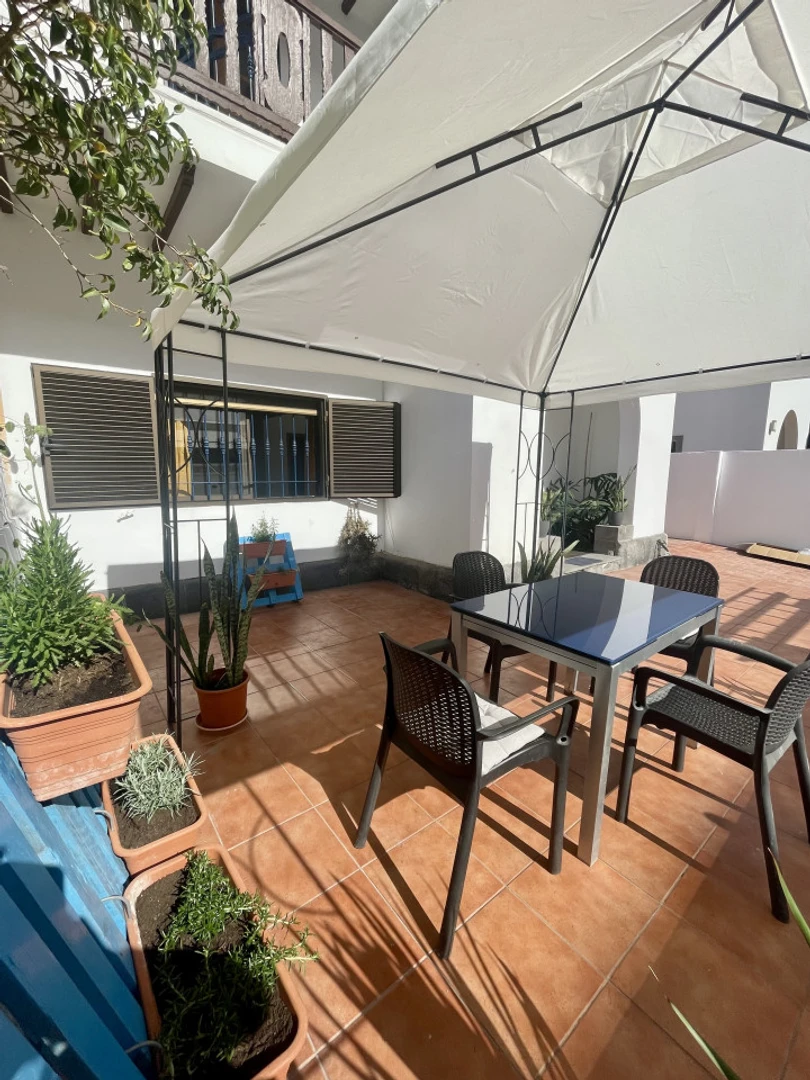 Functional student room perfect for studying in 