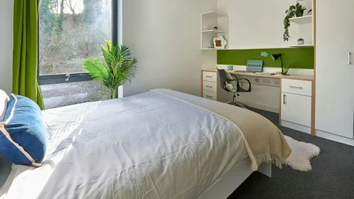Stanza privata in The Village at The Viaduct Ainsley Street. Durham DH1 4BJ, immagine 21 di 27
