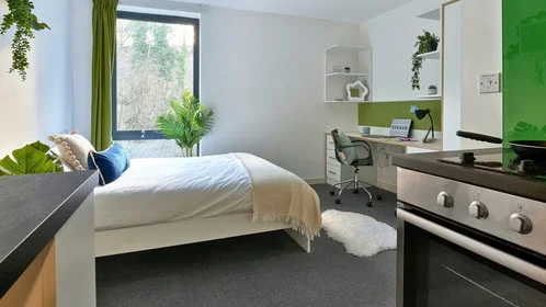 Stanza privata in The Village at The Viaduct Ainsley Street. Durham DH1 4BJ, immagine 23 di 27