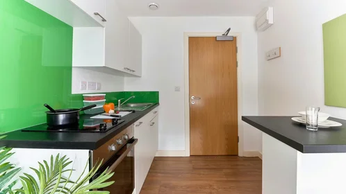 Stanza privata in The Village at The Viaduct Ainsley Street. Durham DH1 4BJ, immagine 24 di 27