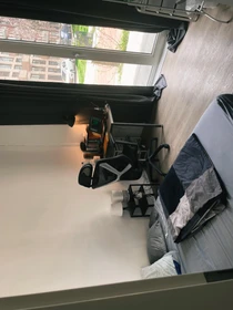 Room for rent in a shared flat in Leiden