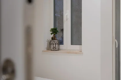 Entire apartment at 6, image 5 of 48